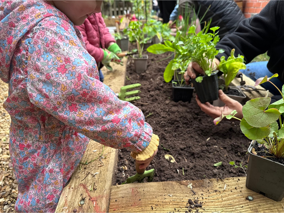 A child wearing a floral-patterned waterproof jacket uses a small green hand rake to prepare soil in a raised garden bed at Partou Cherubs Day Nursery & Pre-school in Sale. Nearby, adults and children hold pots of leafy plants ready for planting, with gardening tools, fresh soil and greenery visible in the outdoor learning area.